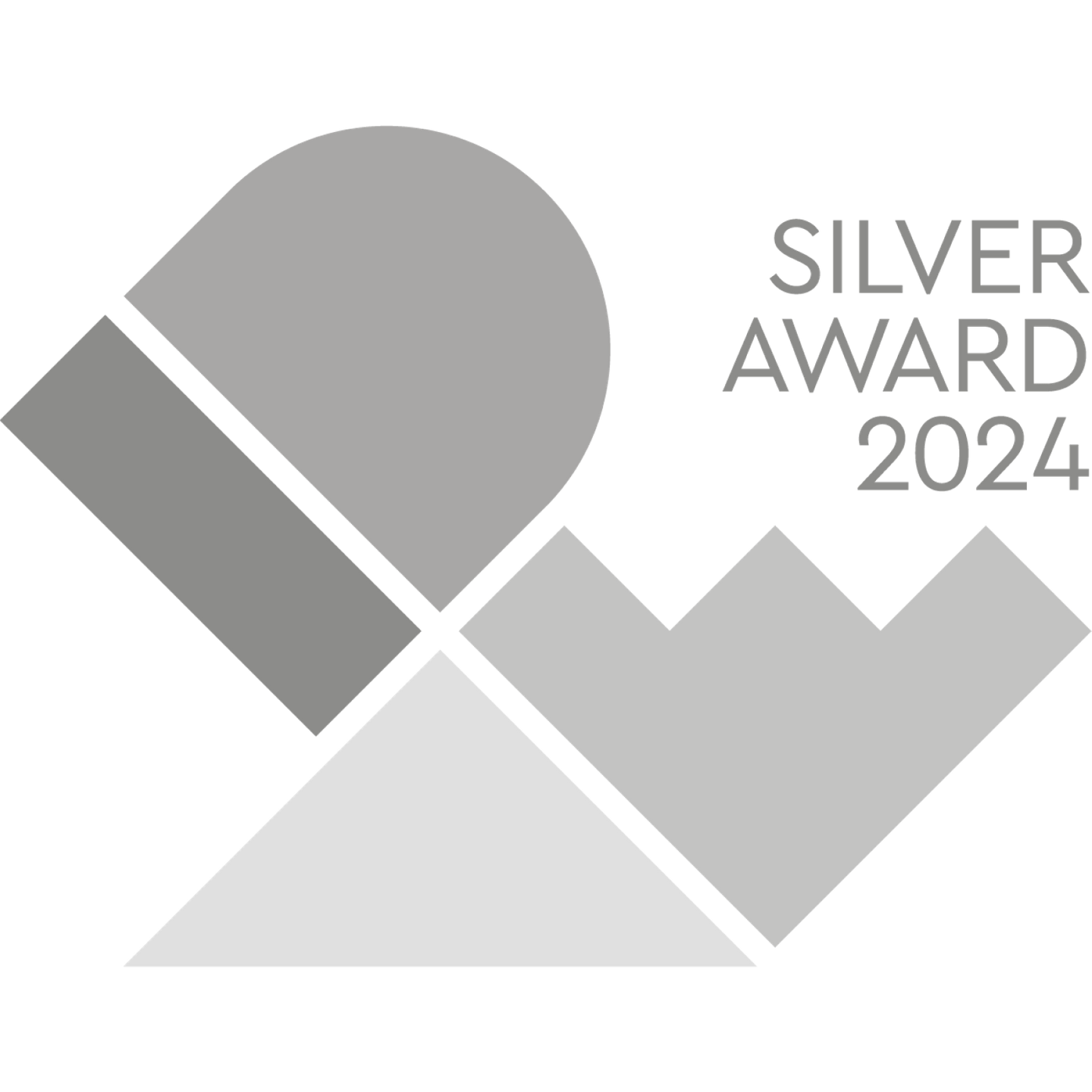 SILVER Award 2024 logo